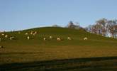 This is a truly magical setting in a pretty valley with the owners' sheep and alpacas in the surrounding fields. - Thumbnail Image