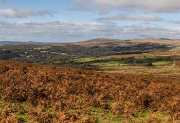 Stunning Dartmoor is on your doorstep and ready to be explored.