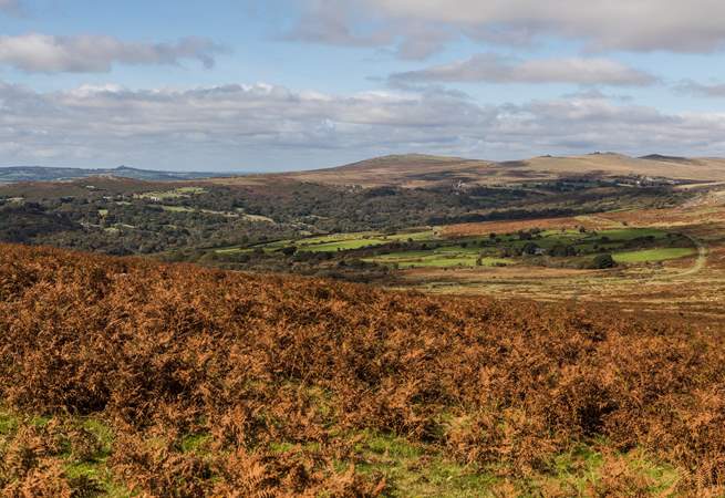 Stunning Dartmoor is on your doorstep and ready to be explored.