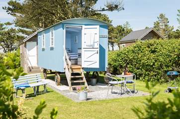 The 'beach hut' spacious shower-room sits just behind Forget-Me-Not with Mr Blue Sky next door, the hedge between ensures privacy for all (please note, the barbecue and chiminea have been replaced with a fire-pit barbecue) .