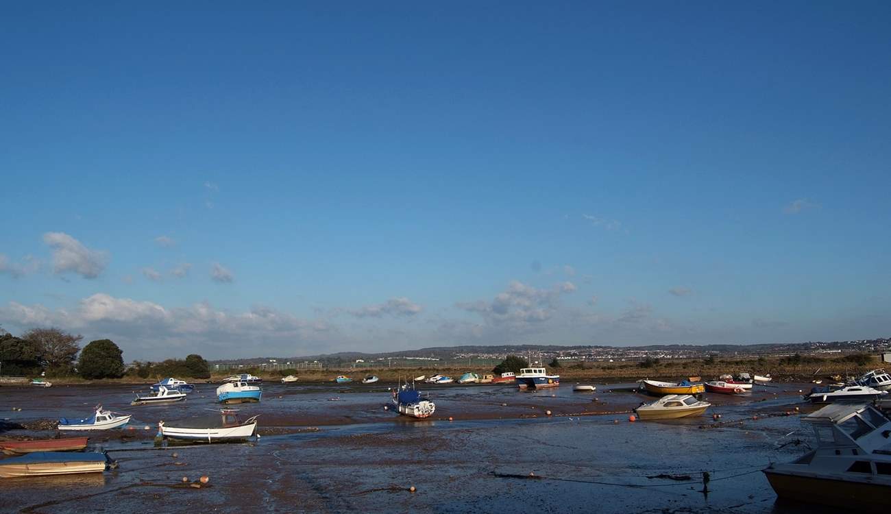 Cockwood harbour is just down the road.