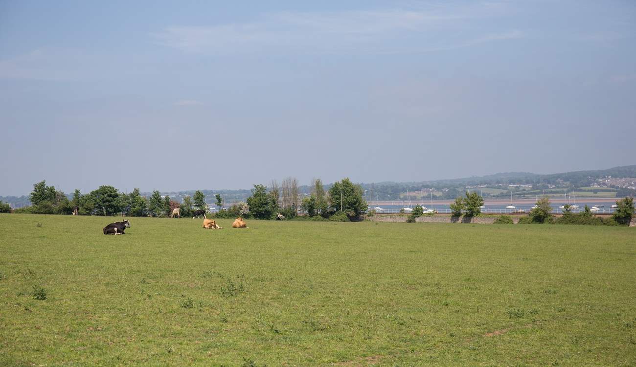 The owners' fields.