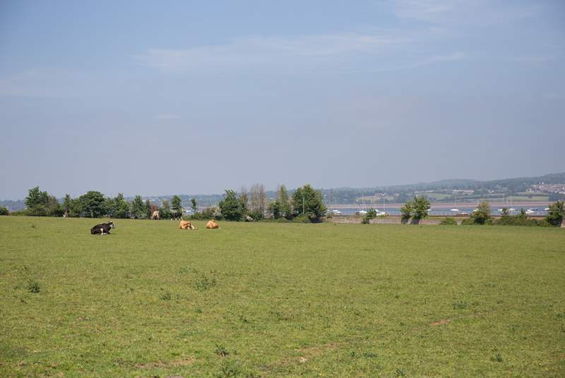 The owners' fields.
