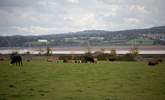 Distant views of the Exe estuary. - Thumbnail Image