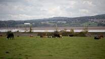 Distant views of the Exe estuary.