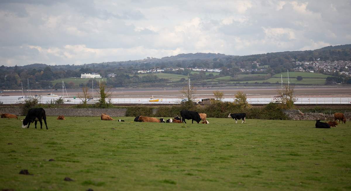 Distant views of the Exe estuary.