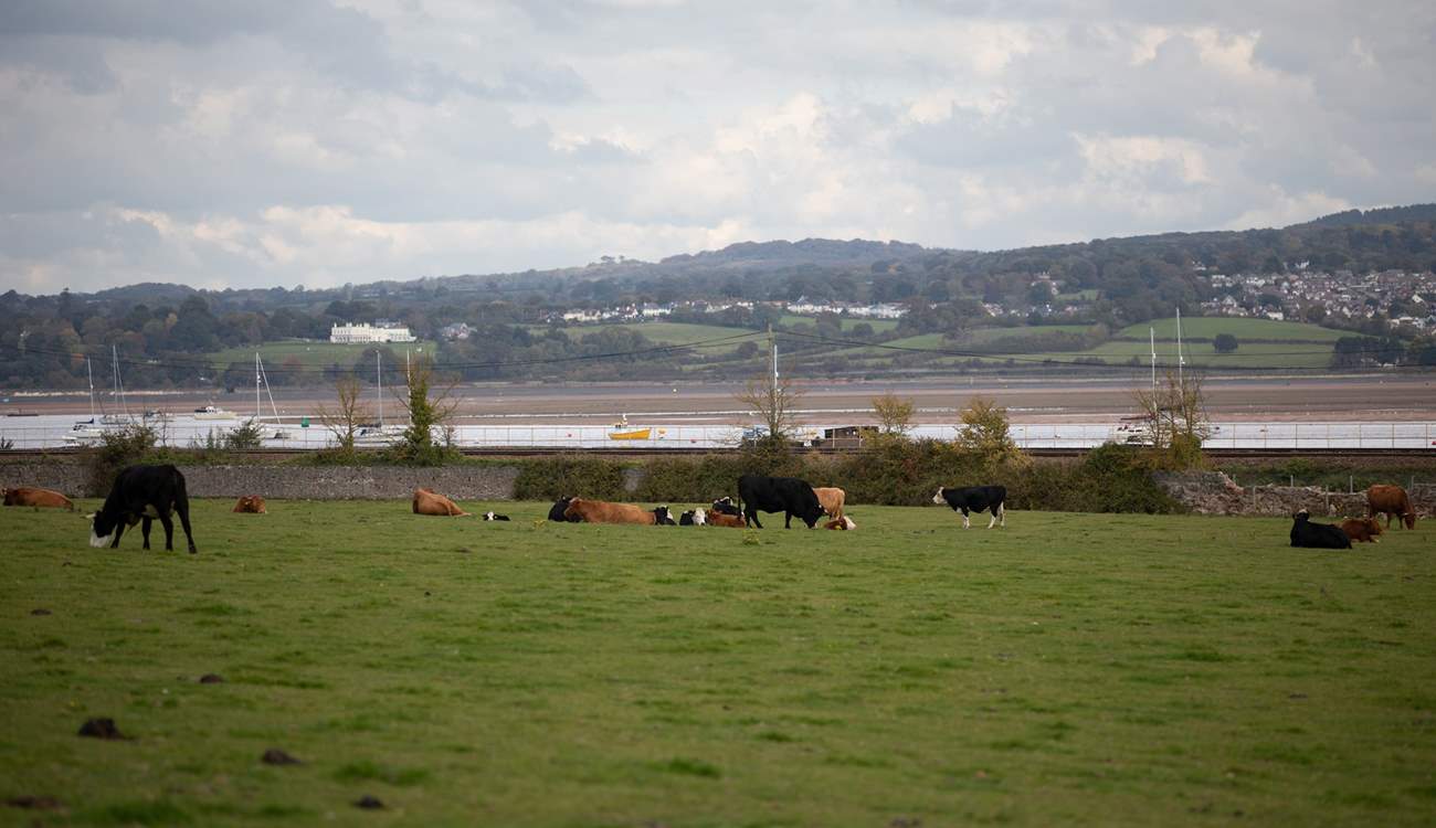 Distant views of the Exe estuary.
