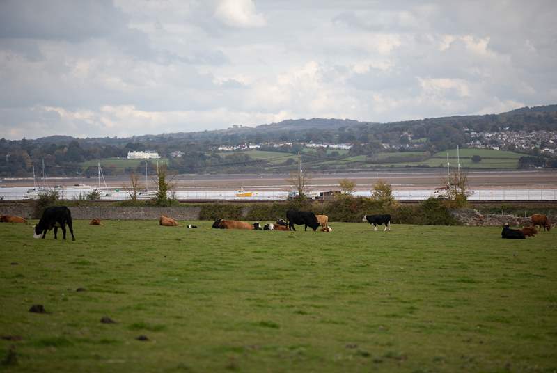 Distant views of the Exe estuary.