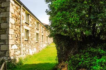 Looking back from the entrance to the garden.