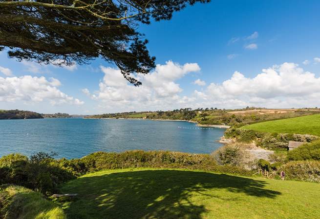 Explore the banks of The Helford. 