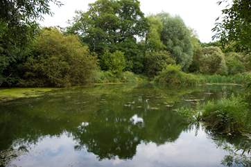 The pretty, fenced pond on-site (please take care with children).