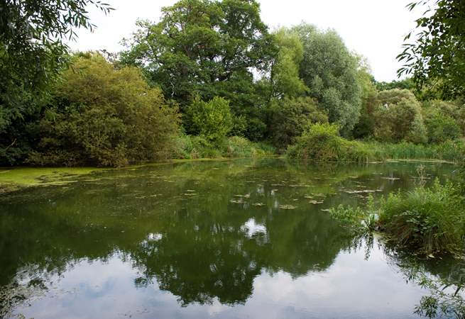 The pretty, fenced pond on-site (please take care with children).