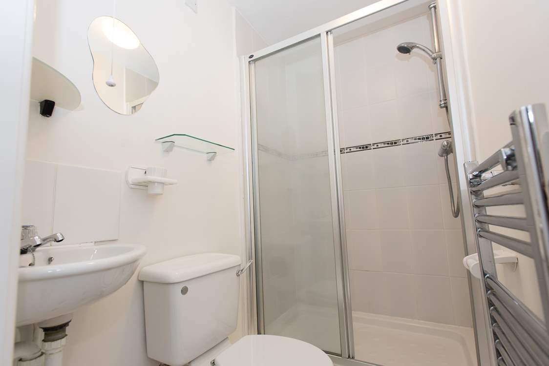 The ground floor shower-room.