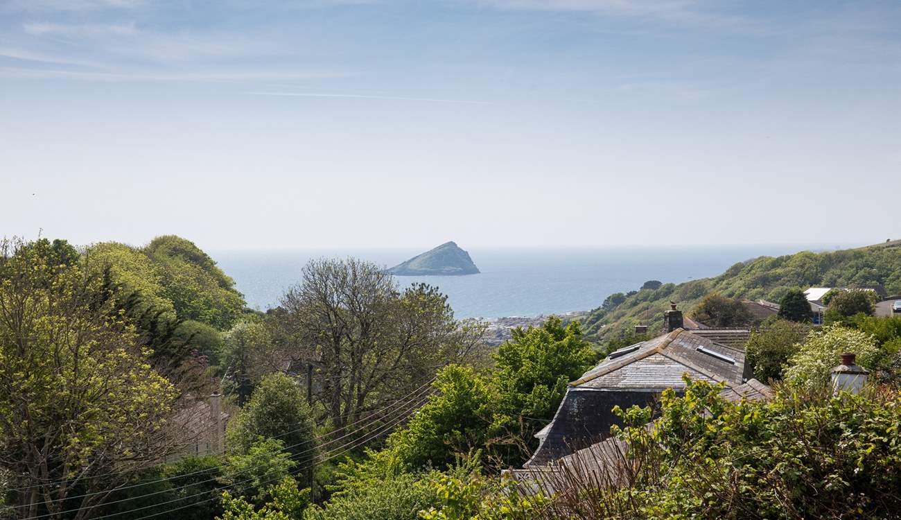 What a spectacular view of the Mewstone.