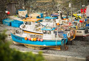 The fishing boats sit in the cove after returning with their catch, pop into the fish shop to see what came in today.