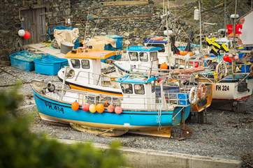 The fishing boats sit in the cove after returning with their catch, pop into the fish shop to see what came in today.