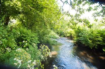 The River Kensey babbles along the bottom of the meadow (it is fenced off for safety but please take care with children).