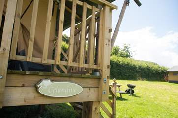 Welcome to Celandine!
