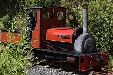 The delightful little steam train.