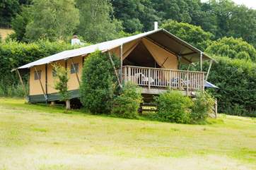 Celandine has fabulous views over the valley beyond.