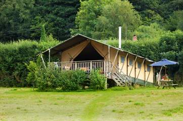 Celandine sitting proud in the meadow. There is plenty of space around these three super safari tents.