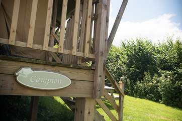 Welcome to Campion.