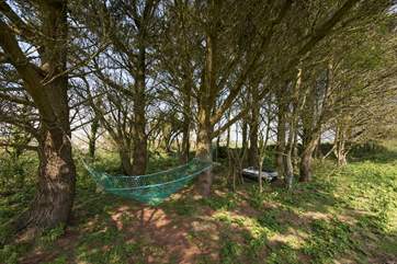 The lovely communal woodland area.