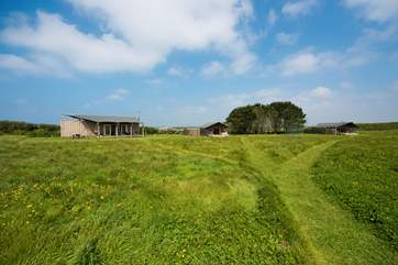 Rusty is on the left, with its neighbours Hobie and Woody screened off to the right.