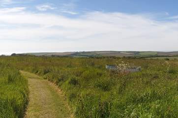 The wild meadow behind is home to the herb boat and looks out to sea.