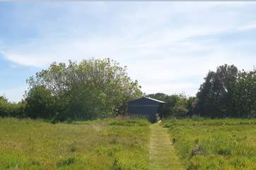The honesty shop tucked in one corner of the wildflower meadow.