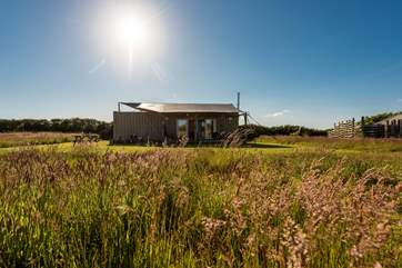 Situated in a 7 acre wild flower meadow, Rusty is the perfect all year round glamping getaway.