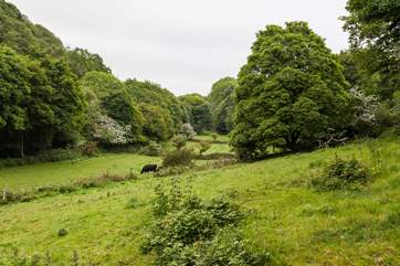 The valley next door to Shuffley Barn.