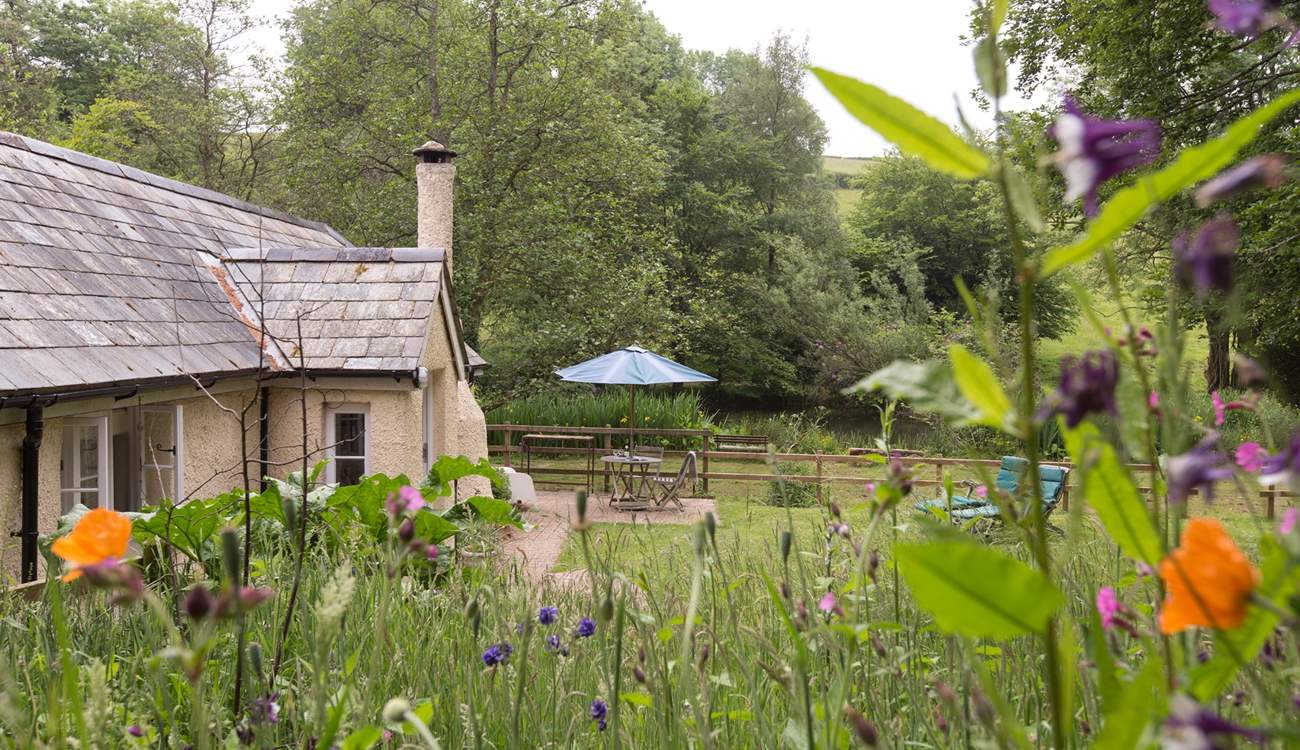 This is the side of the cottage you will see as you walk down the path from the parking-area above.