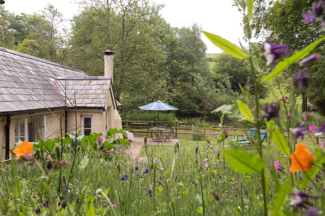 This is the side of the cottage you will see as you walk down the path from the parking-area above.