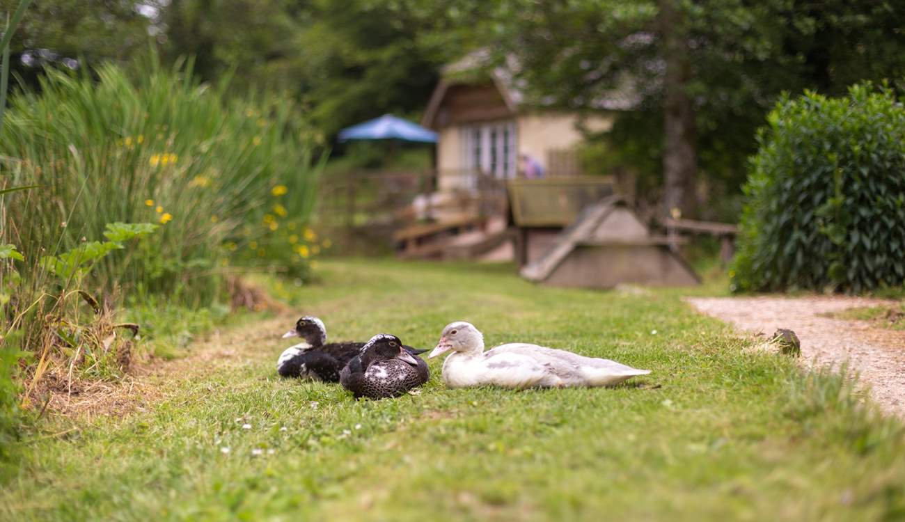 Everyone is very relaxed here!