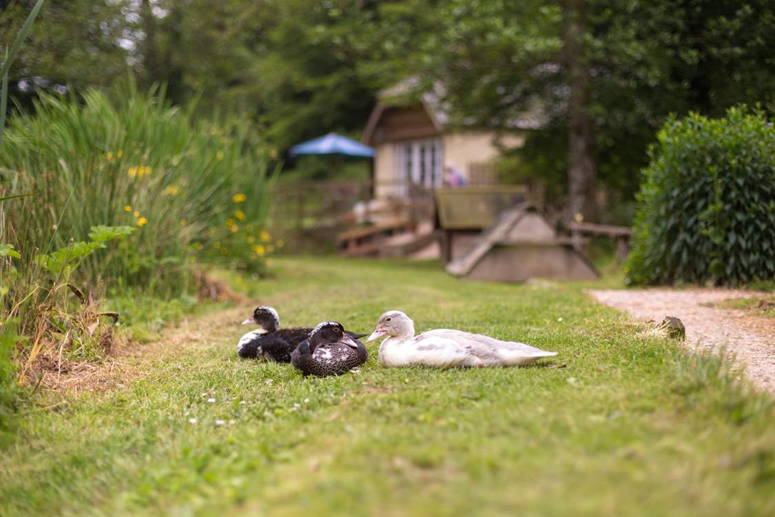 Everyone is very relaxed here!