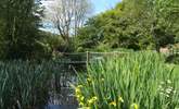 Looking across the pond that Dieppy Farm Cottage looks out over. - Thumbnail Image