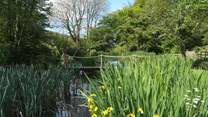 Looking across the pond that Dieppy Farm Cottage looks out over.