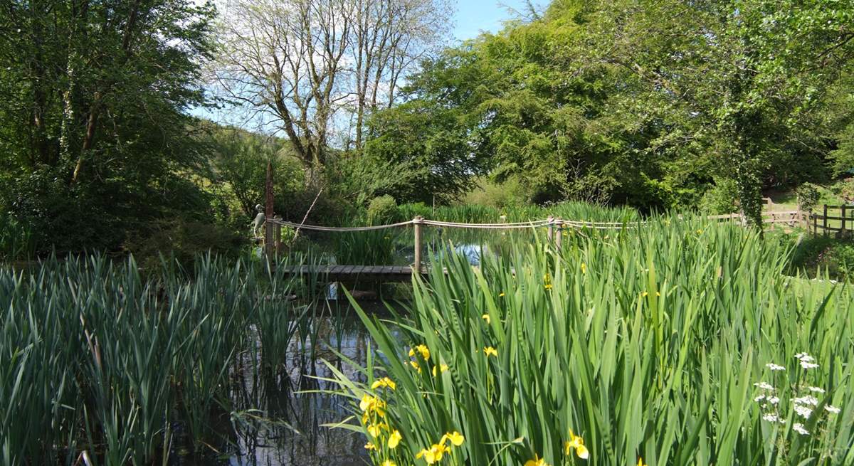 Looking across the pond that Dieppy Farm Cottage looks out over.