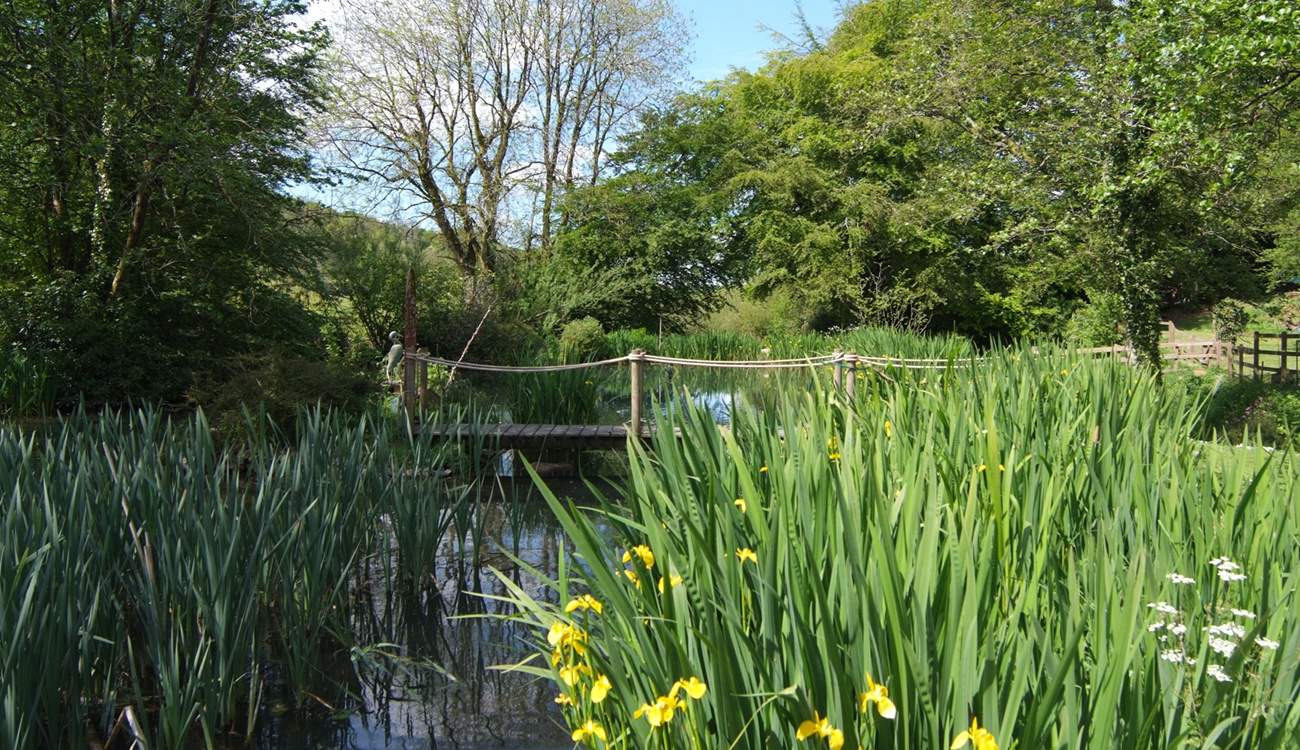 Looking across the pond that Dieppy Farm Cottage looks out over.