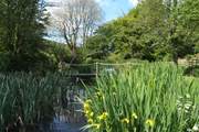 Looking across the pond that Dieppy Farm Cottage looks out over.