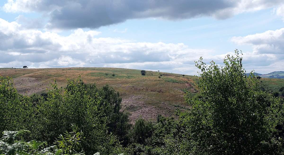 The Quantock Hills are a stunning 9.5 thousand acre Area of Outstanding Natural Beauty, with wonderful trails, open space and fabulous views!