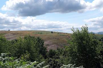 The Quantock Hills are a stunning 9.5 thousand acre Area of Outstanding Natural Beauty, with wonderful trails, open space and fabulous views!