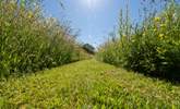 A walk through the gorgeous on-site wild flower meadow must be on the 'to do' list.  - Thumbnail Image