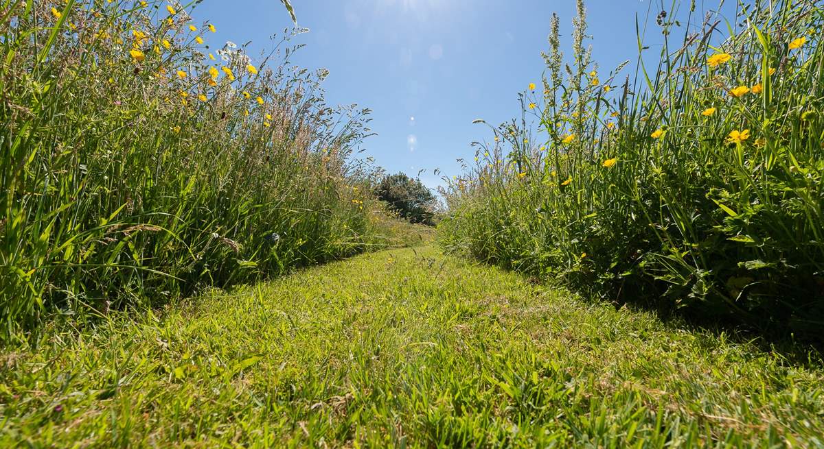 A walk through the gorgeous on-site wild flower meadow must be on the 'to do' list. 