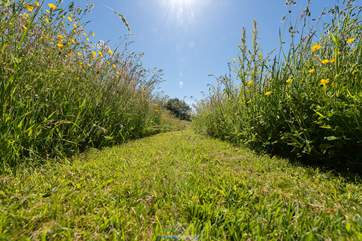 A walk through the gorgeous on-site wild flower meadow must be on the 'to do' list.