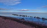 Have a day out along the North Somerset coast.  Visit Minehead for Steam Trains and traditional seaside fare, or maybe take a trip to the picturesque Dunster Castle, perched high up on a hillside. - Thumbnail Image