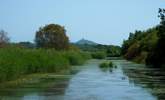 Venture into the calm, green spaces of the Somerset Levels.  Walk for miles along the paths, see Glastonbury in the distance and listen to the sound of birdsong. - Thumbnail Image