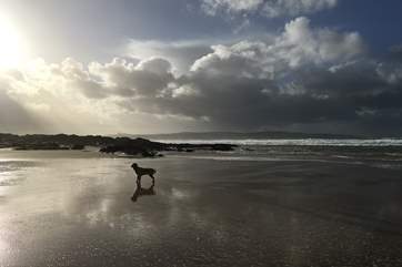 Whether you visit in summer or in winter, the beaches are simply spectacular.