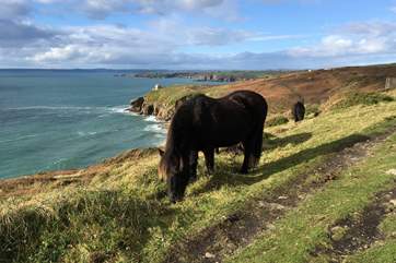The views at Rinsey across the mine engines and beyond.